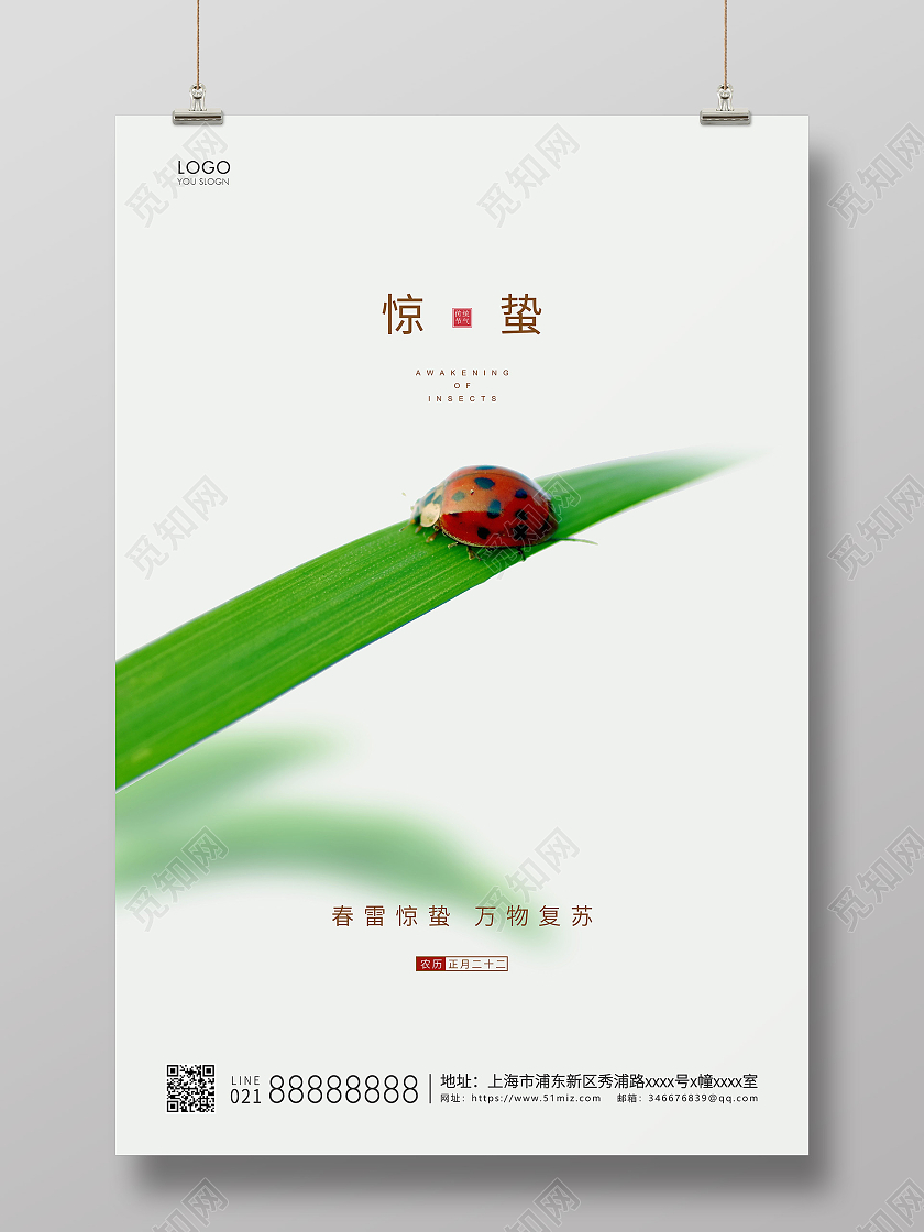 白色简约二十四节气惊蛰节气宣传海报24节气二十四节气惊蛰