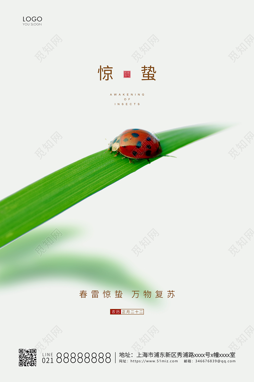白色简约二十四节气惊蛰节气宣传海报24节气二十四节气惊蛰