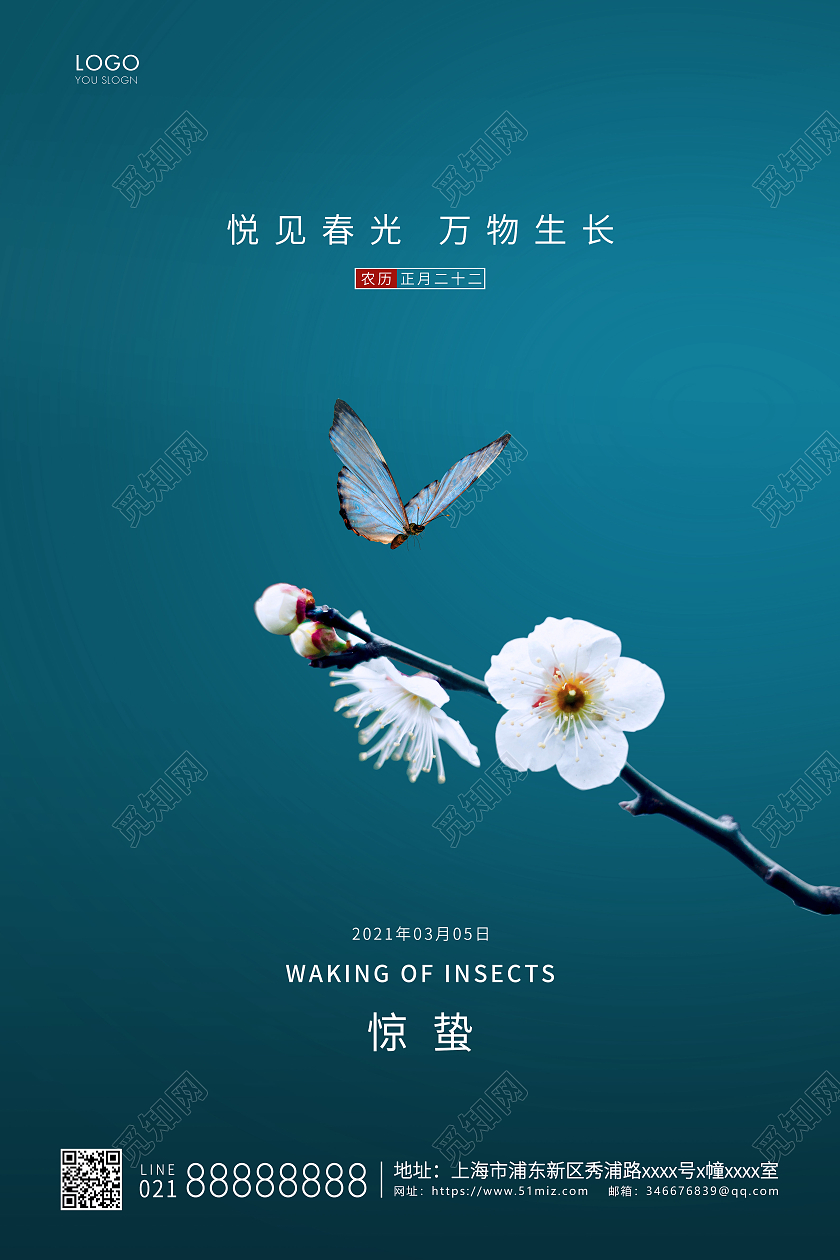 蓝色简约二十四节气惊蛰节气宣传海报24节气二十四节气惊蛰