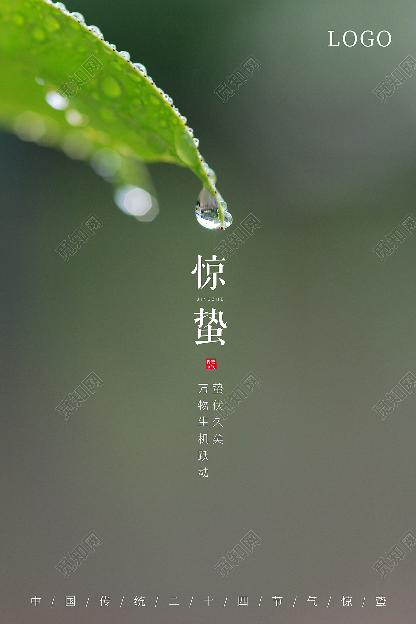 绿色简约惊蛰海报24节气二十四节气惊蛰