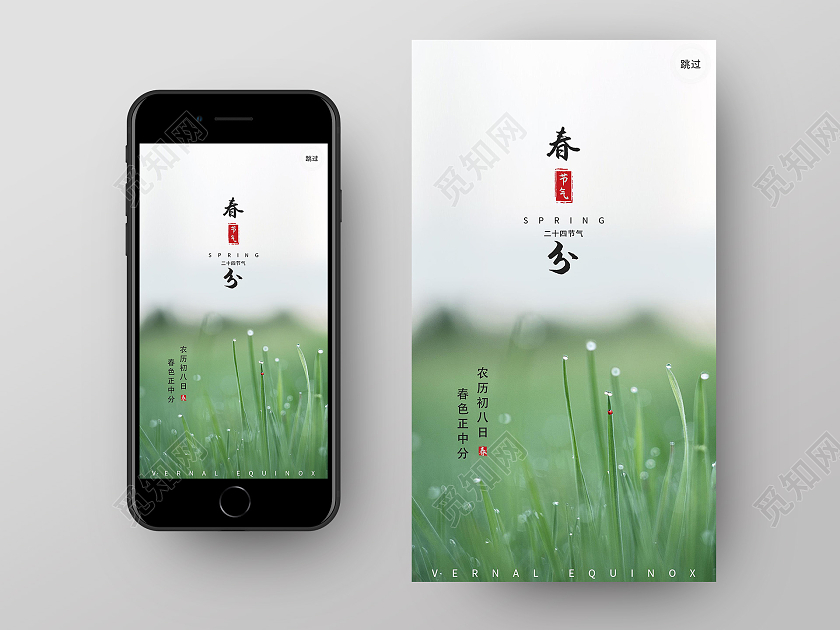 灰色绿色简约二十四节气春分昆虫手机海报二十四节气春分ui手机海报