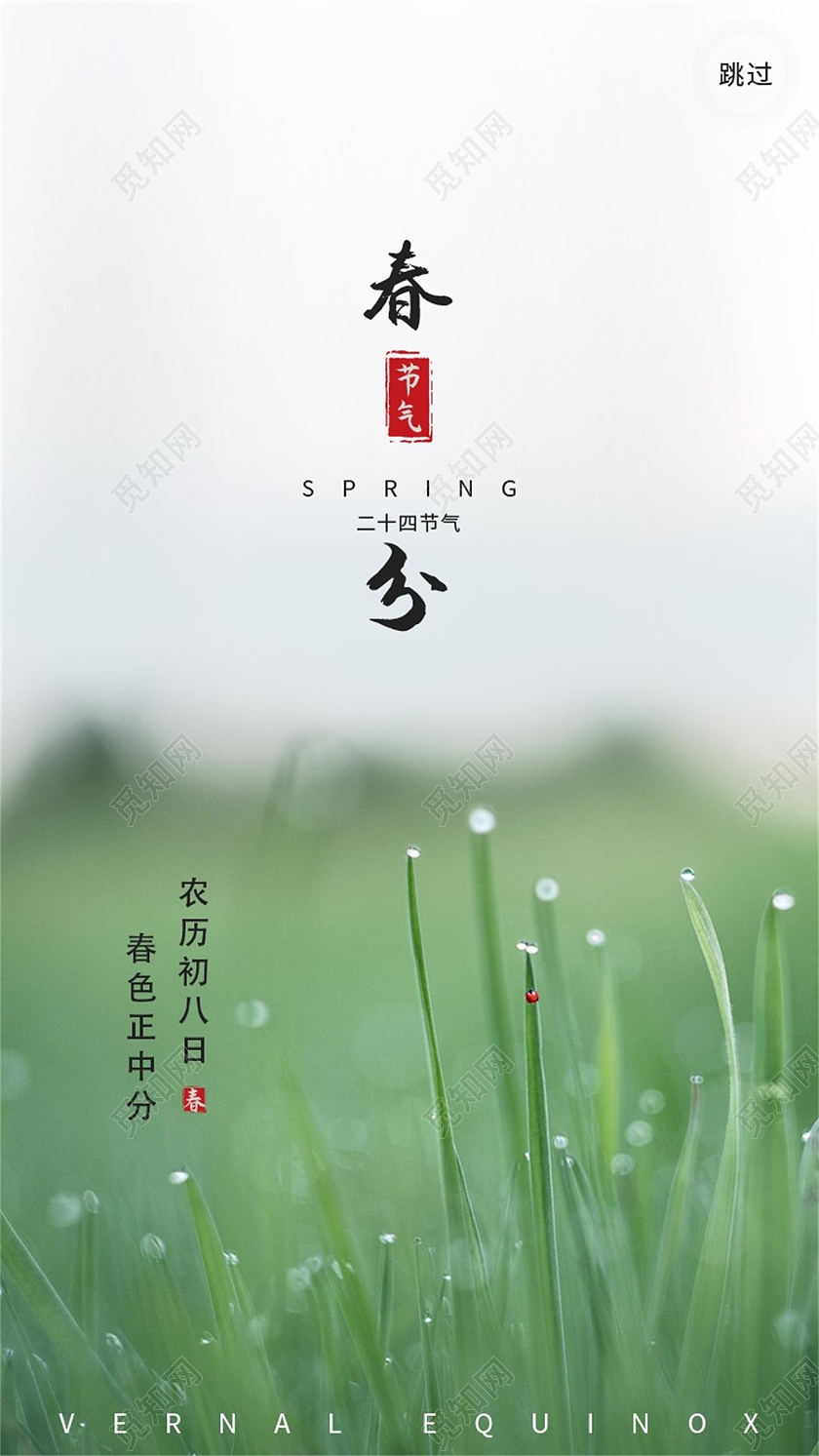 灰色绿色简约二十四节气春分昆虫手机海报二十四节气春分ui手机海报