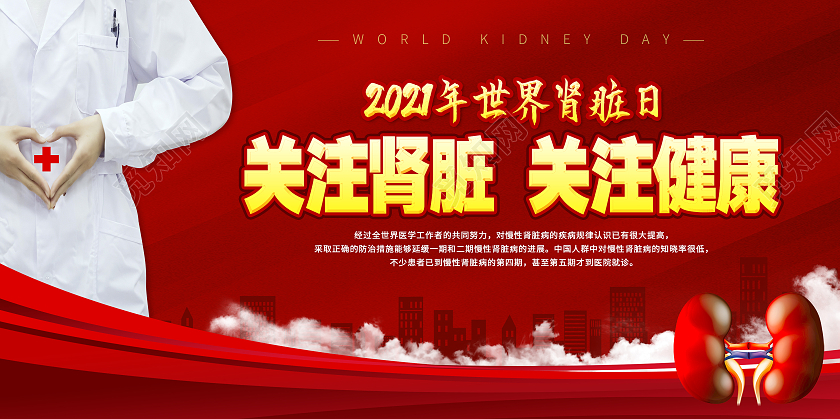 红色简易世界肾脏日展板