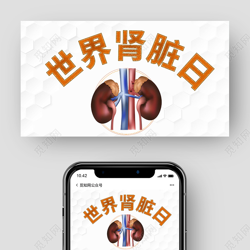 白色简约世界肾脏日公益微信公众号配图宣传