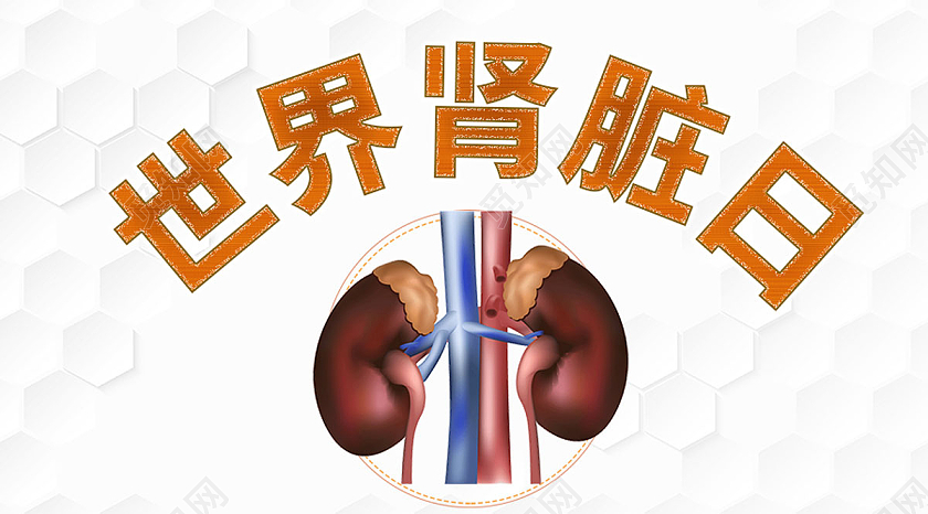 白色简约世界肾脏日公益微信公众号配图宣传
