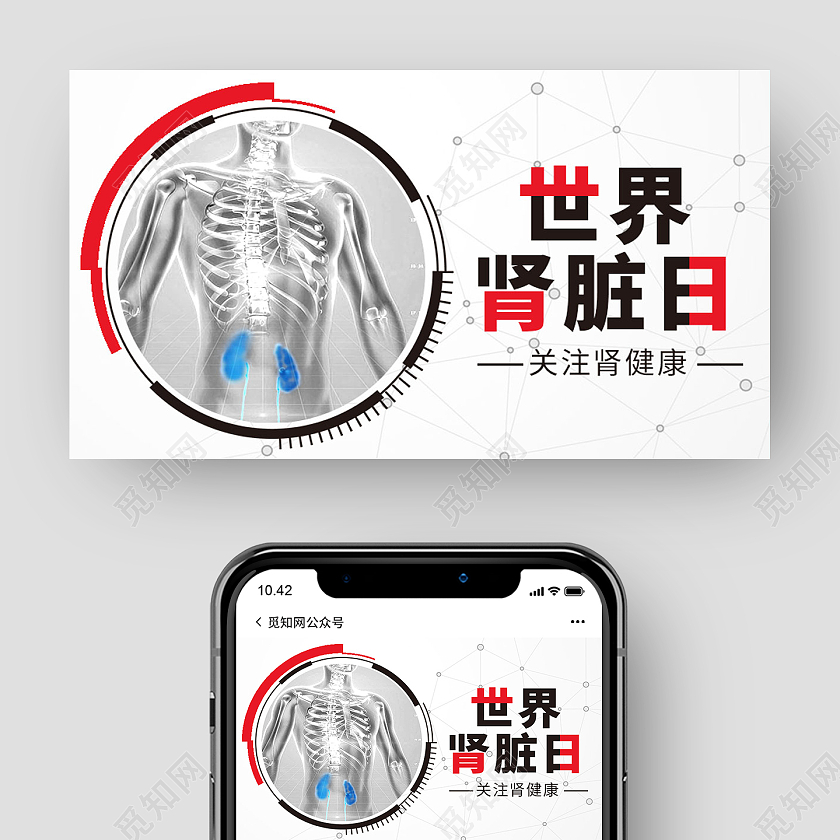 白色简约世界肾脏日公益微信公众号配图宣传