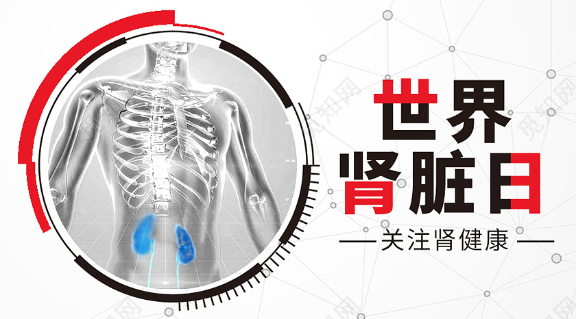白色简约世界肾脏日公益微信公众号配图宣传