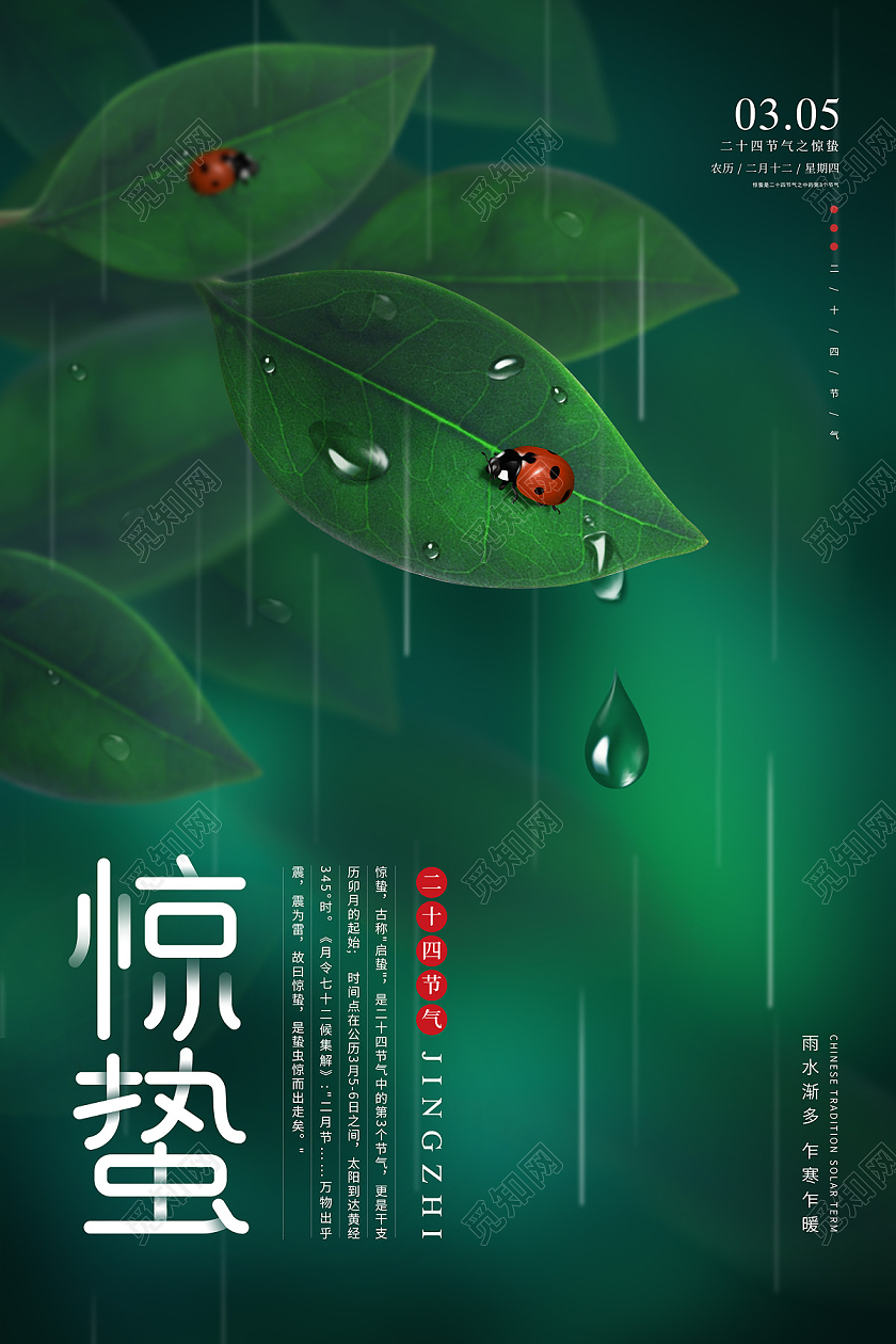 绿色清新大气树叶雨滴二十四节气惊蛰海报