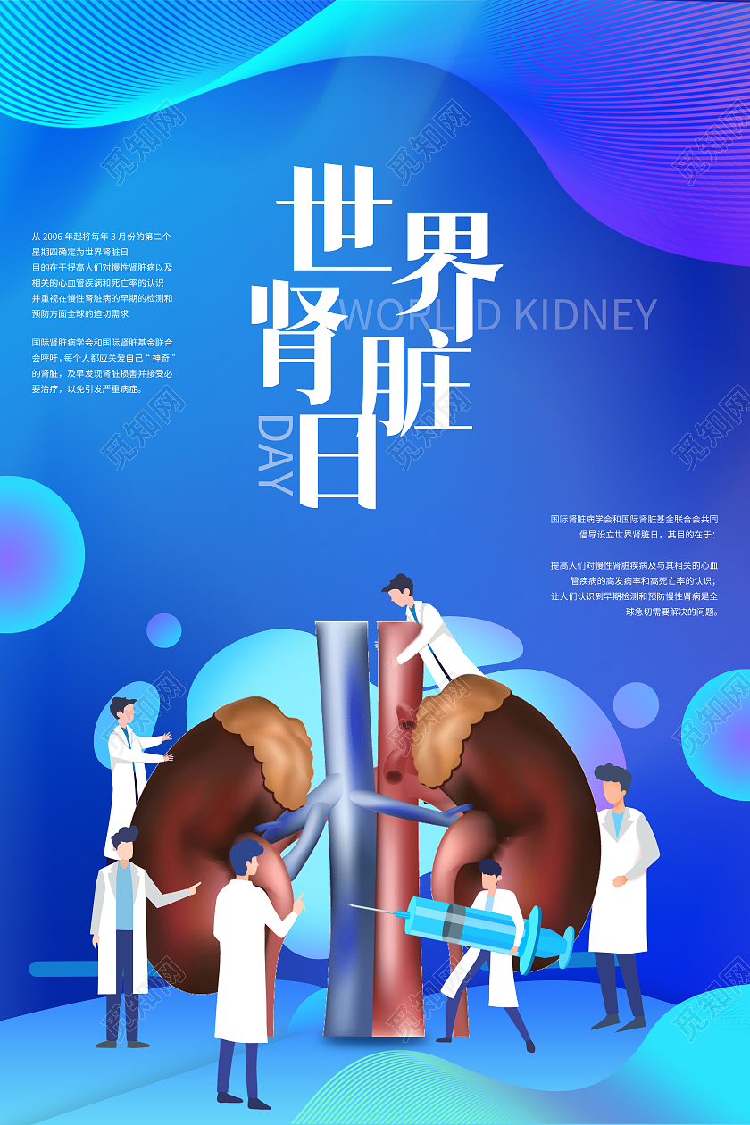 蓝色渐变世界肾脏日海报