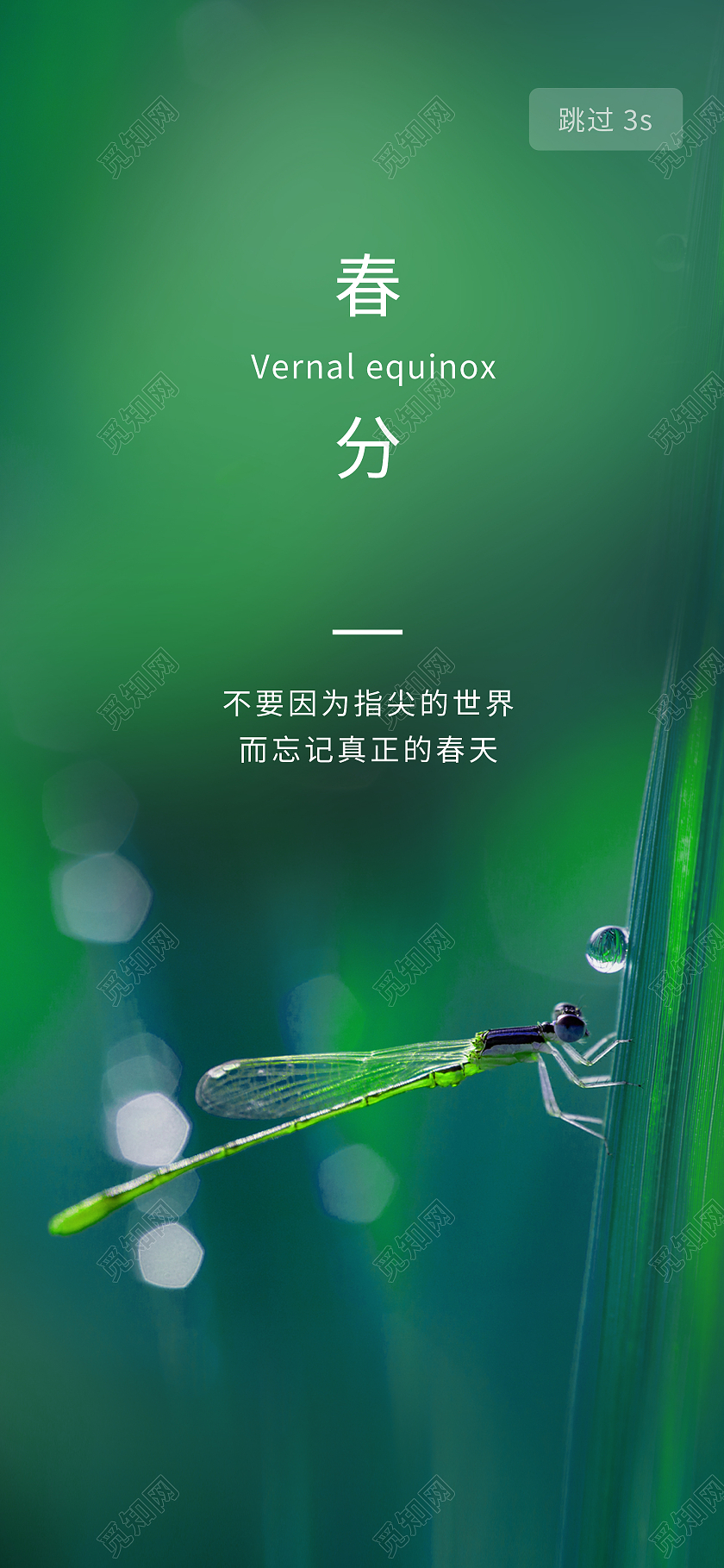 绿色 大气 二十四节气春分手机ui惊蛰ui手机海惊蛰ui手机海报