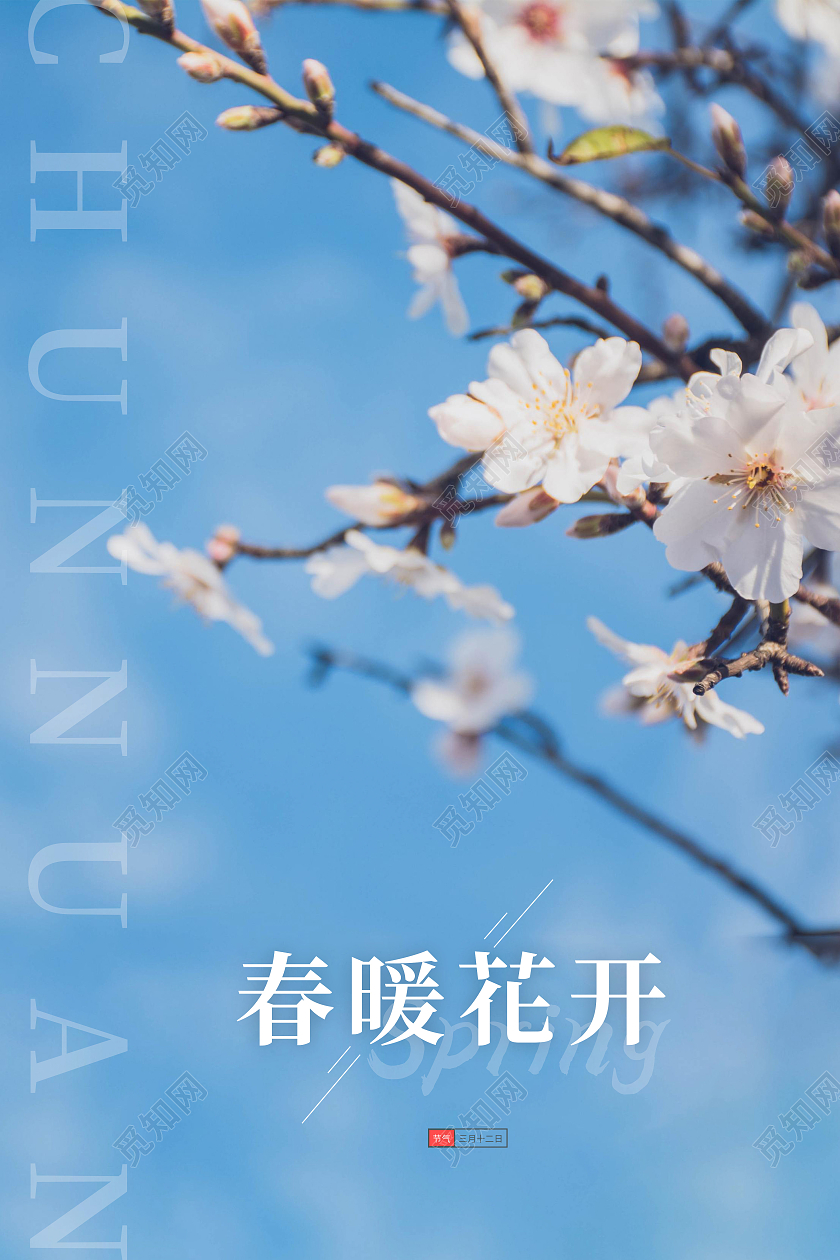 蓝色简约春天春暖花开梨花宣传海报