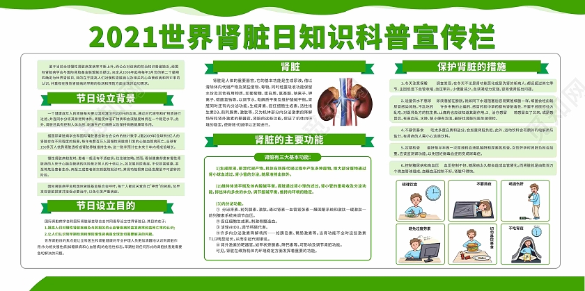 绿色简约世界肾脏日科普知识宣传栏