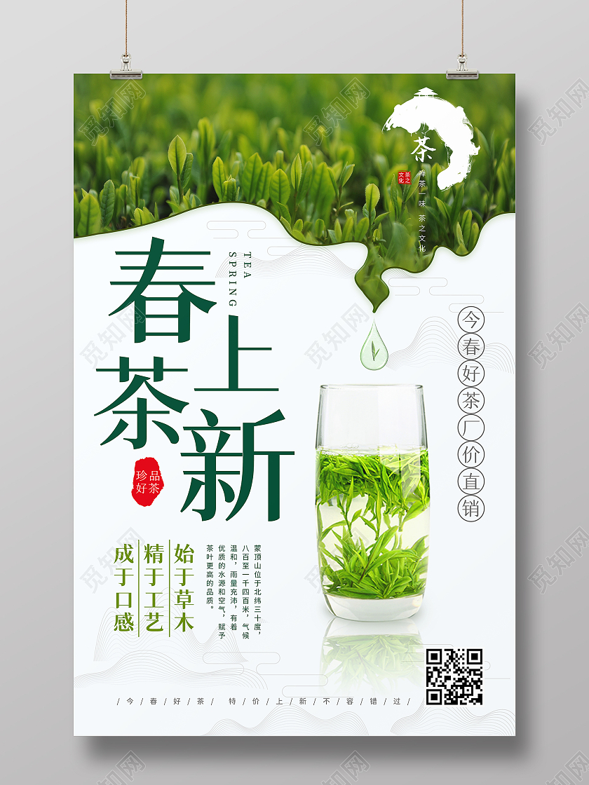 绿色茶园茶叶春季春茶上新春季春天春茶上市