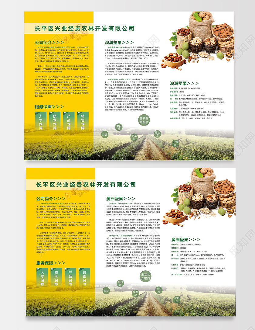 黄色简约农产品公司简介三折页