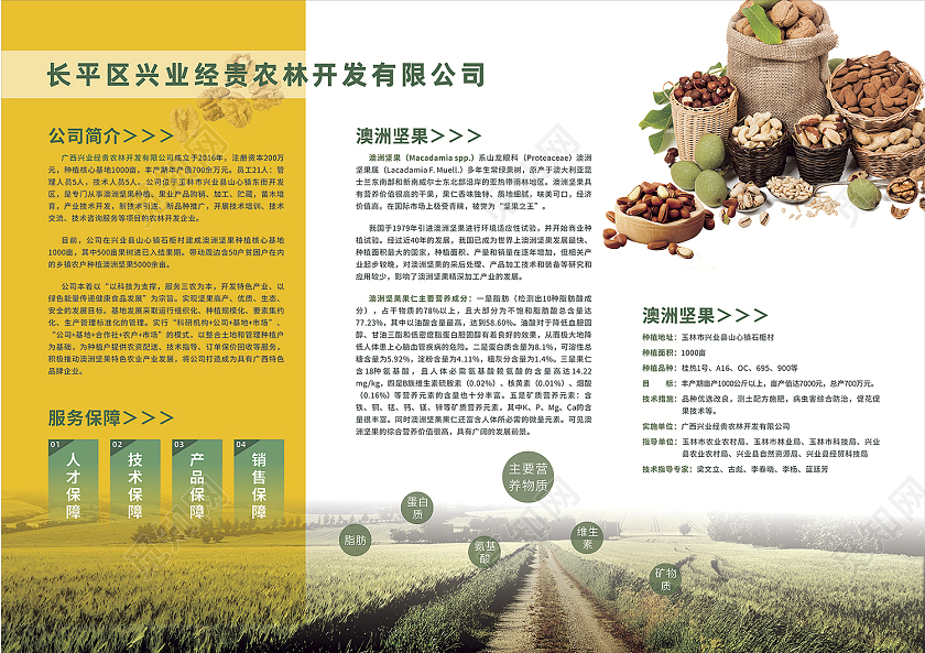 黄色简约农产品公司简介三折页