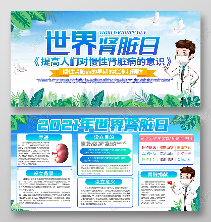 蓝色卡通世界肾脏日展板