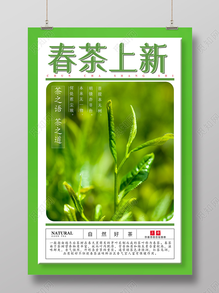 绿色简约春茶上新茶叶宣传海报春季春天春茶上市