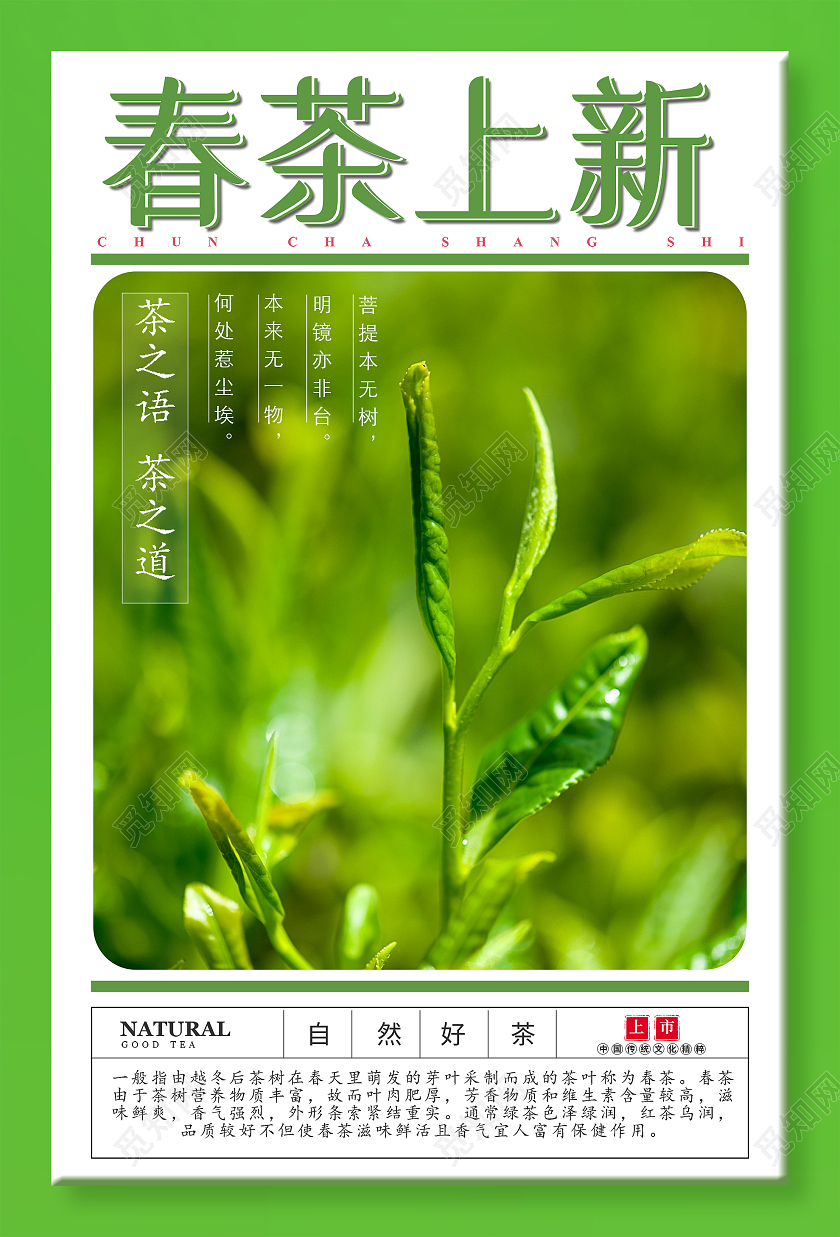 绿色简约春茶上新茶叶宣传海报春季春天春茶上市
