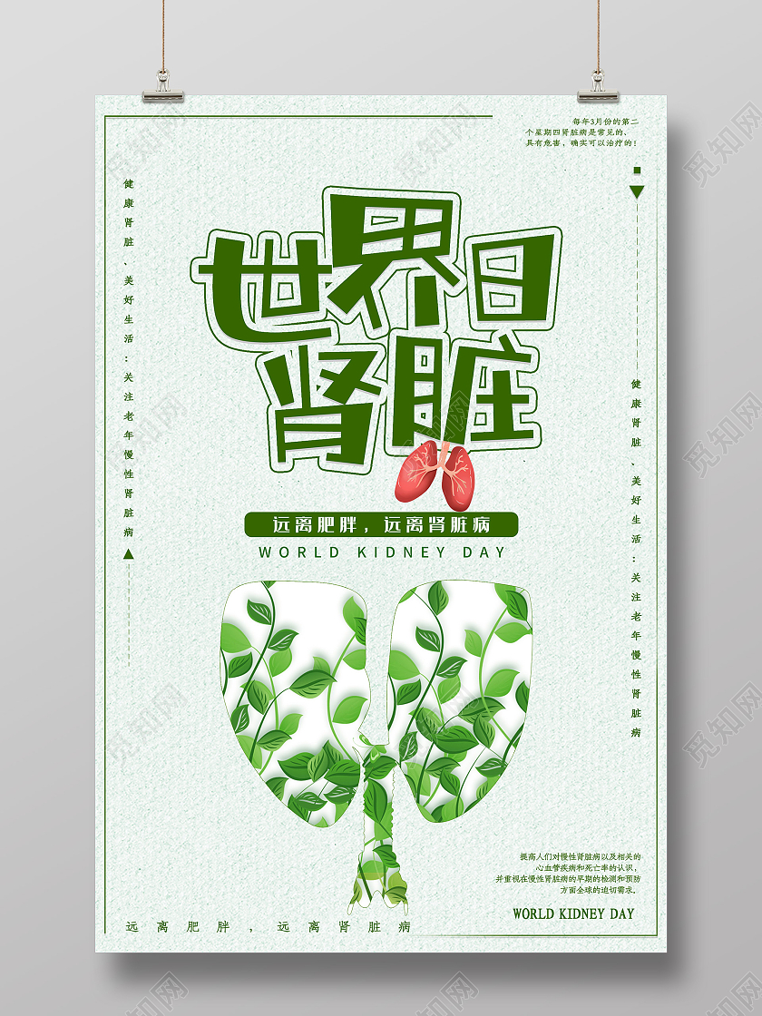 绿色简约世界肾脏日公益节日海报