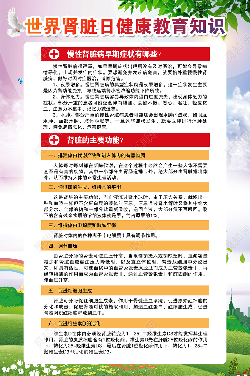 水彩风格世界肾脏病日宣传海报世界肾脏日宣传栏