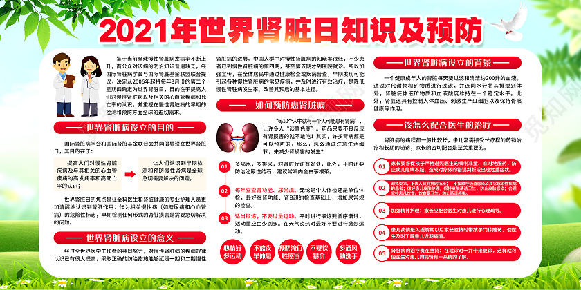 水彩背景世界世界肾脏日宣传栏