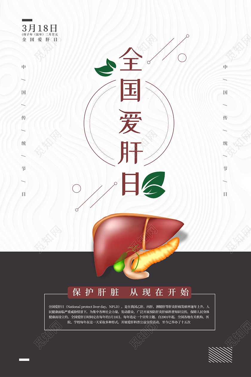 白色简约全国爱肝日海报