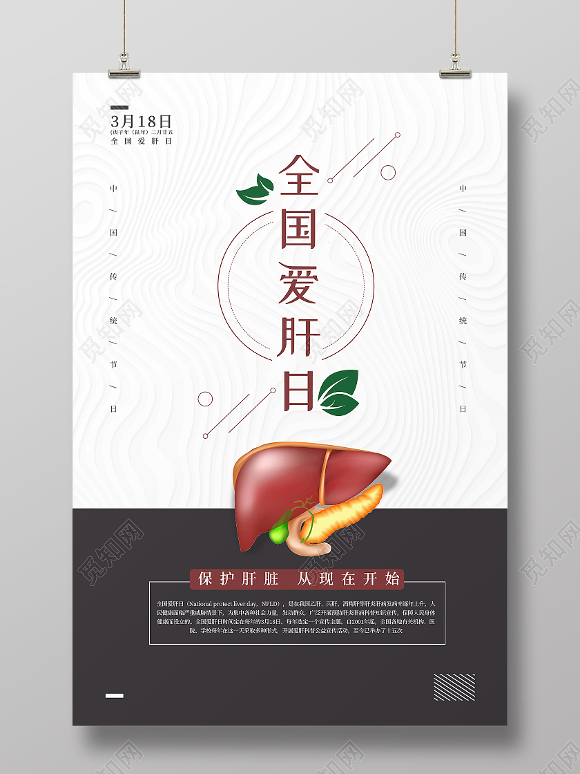 白色简约全国爱肝日海报