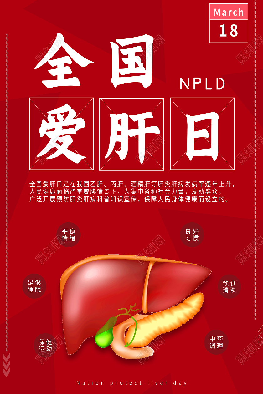 红色简约全国爱肝日海报
