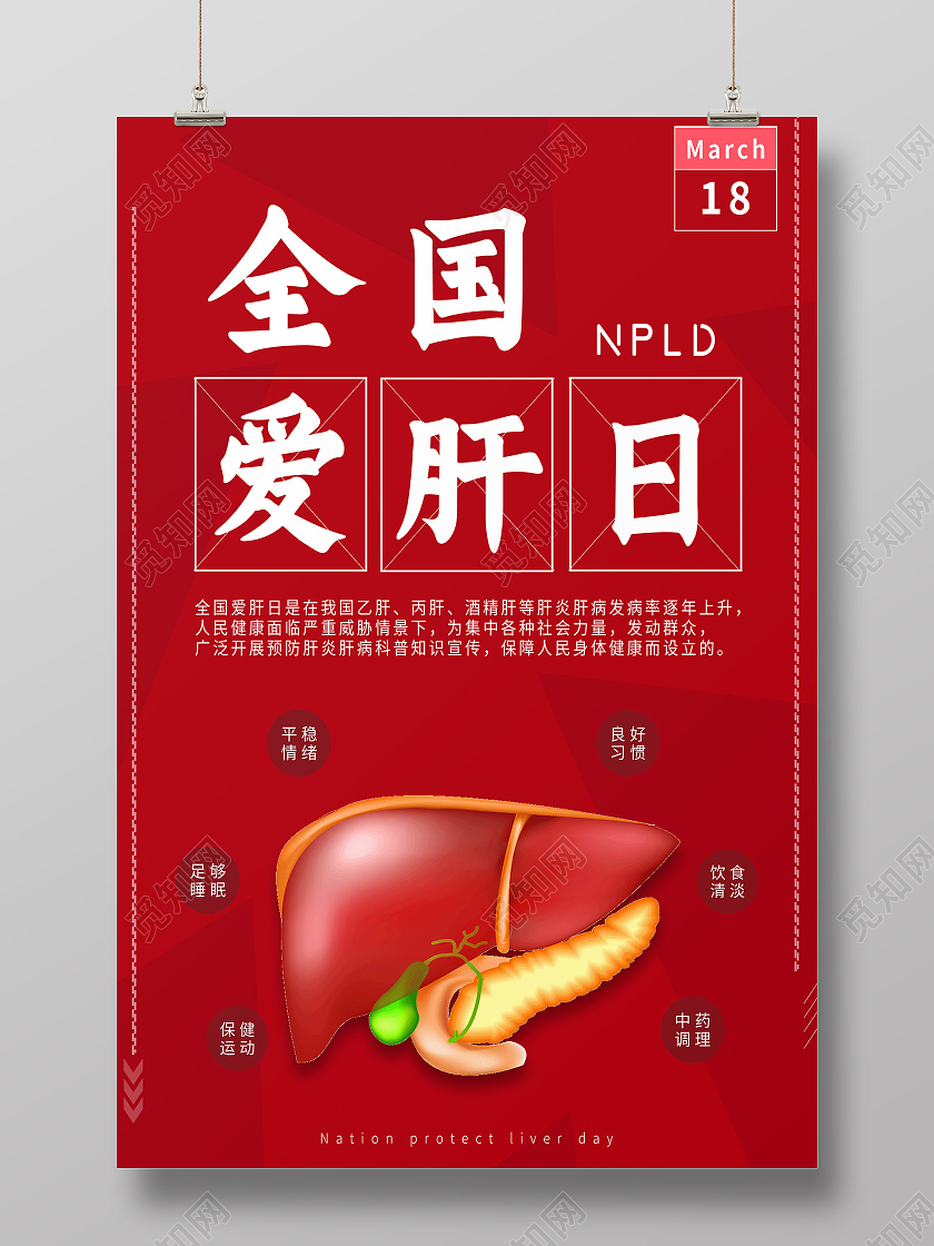 红色简约全国爱肝日海报