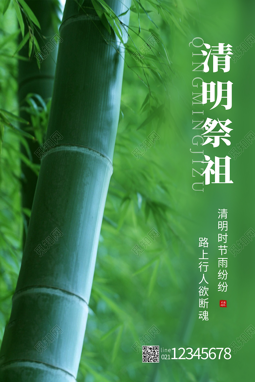 绿色简约清明祭祖宣传海报二十四节气24节气清明节