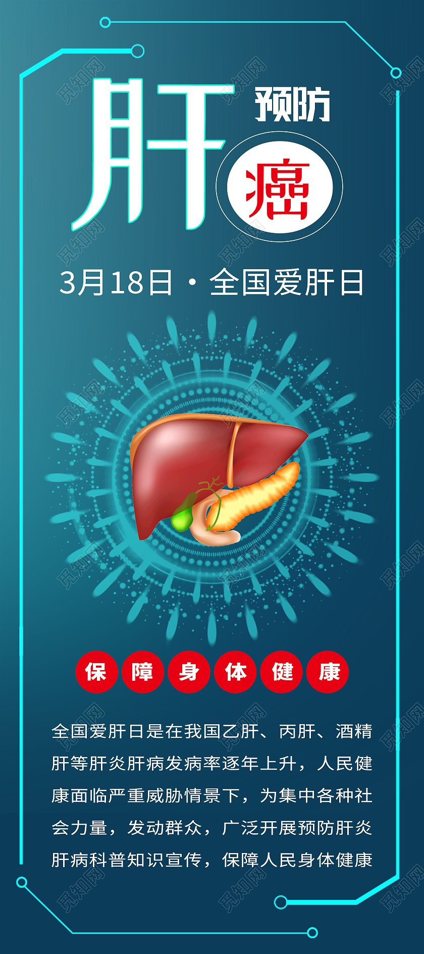 蓝色卡通预防肝癌全国爱肝日展架易拉宝