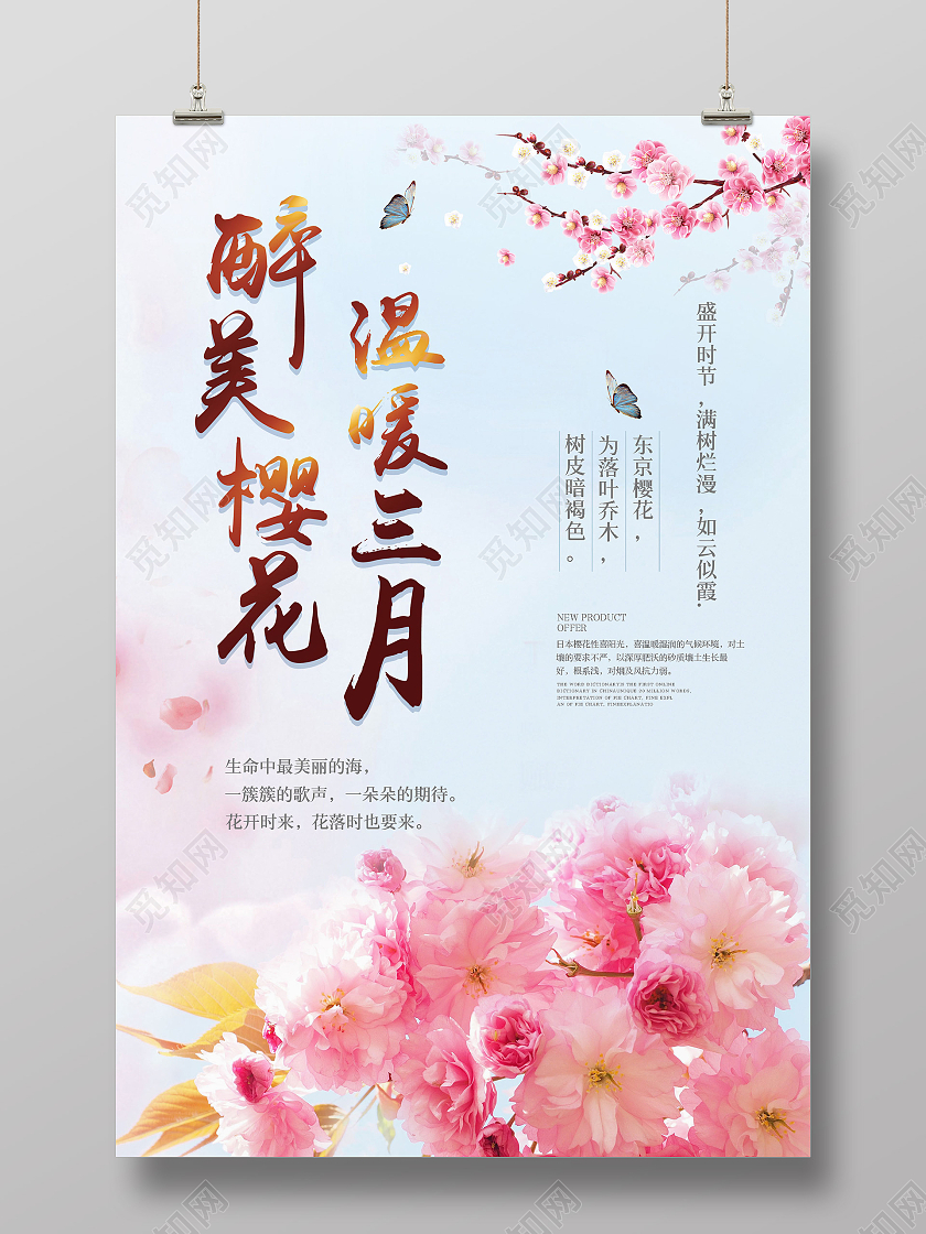 简洁风醉美樱花温暖三月海报