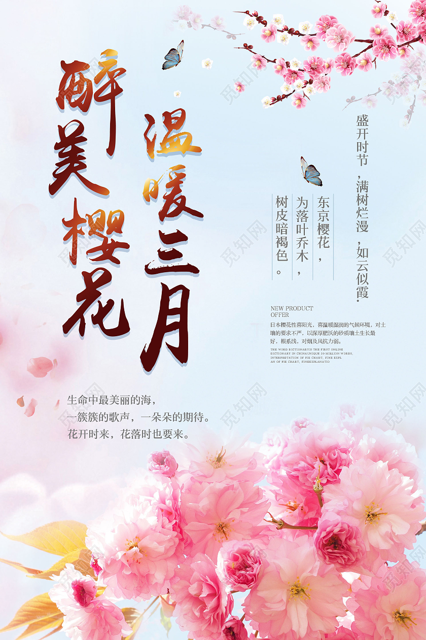 简洁风醉美樱花温暖三月海报