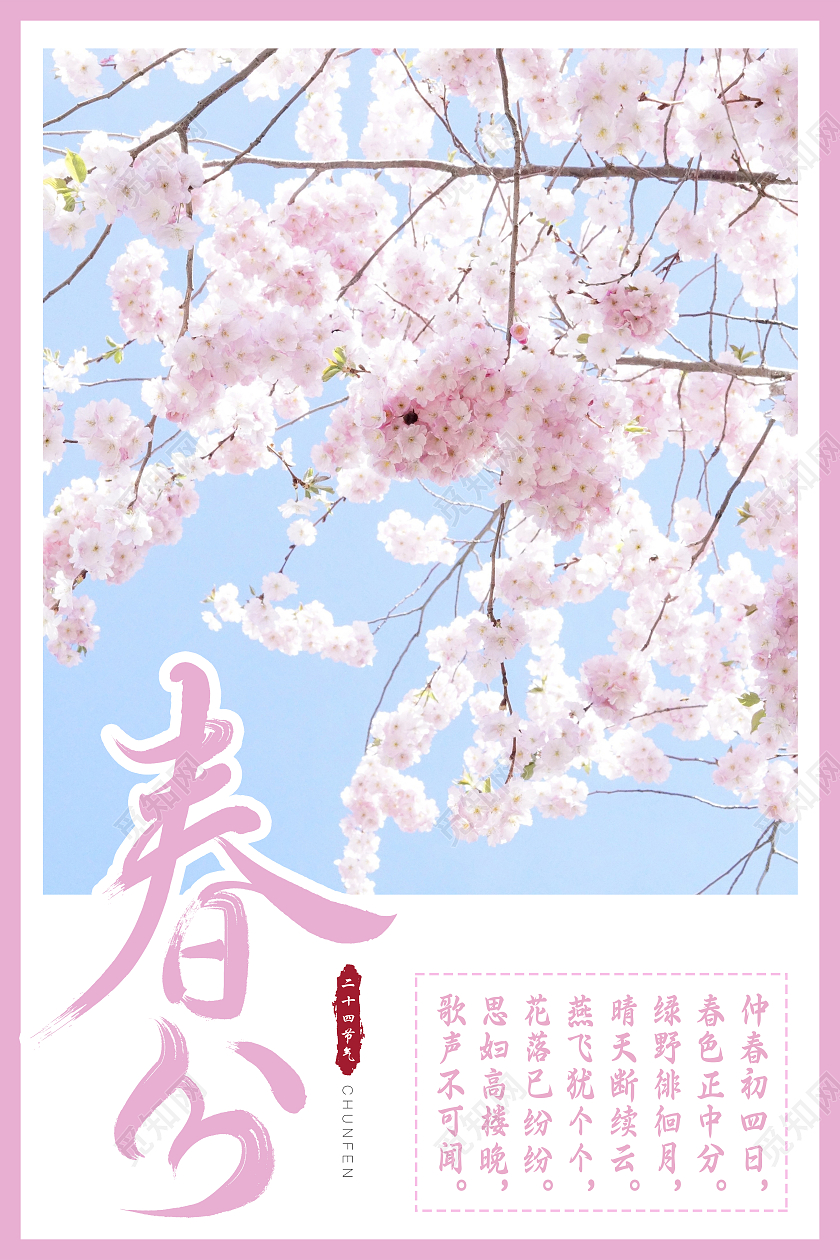 粉色唯美春分二十四节气海报
