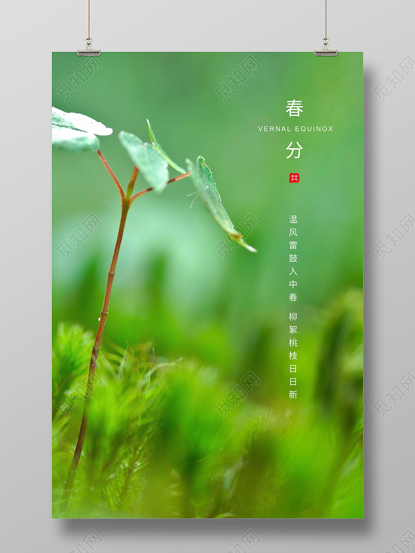 绿色简约春分二十四节气海报24节气二十四节气春分