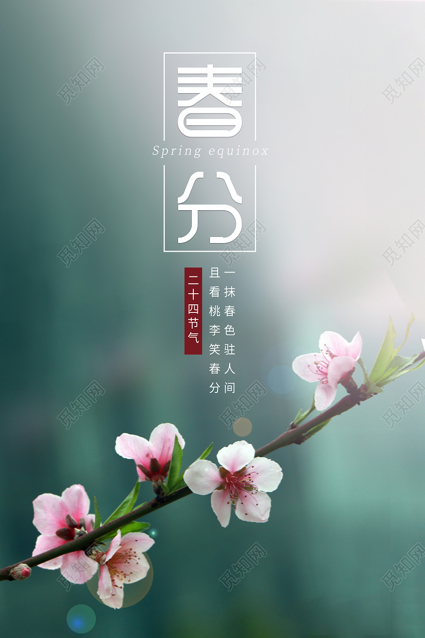 墨绿色中国节气春分海报24节气二十四节气春分