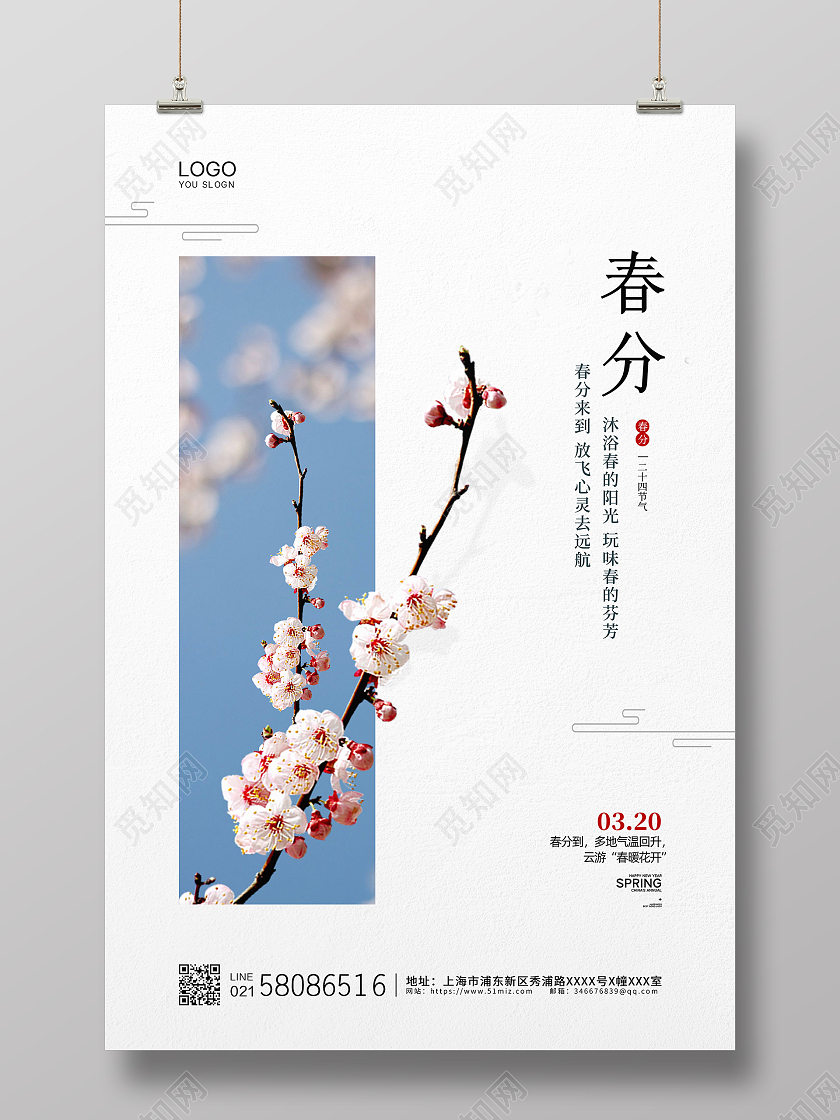 白色简约创意二十四节气春分节气宣传海报24节气春分24节气二十四节气春分