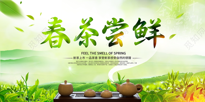 绿色大气2021春茶尝鲜宣传展板春茶茶叶