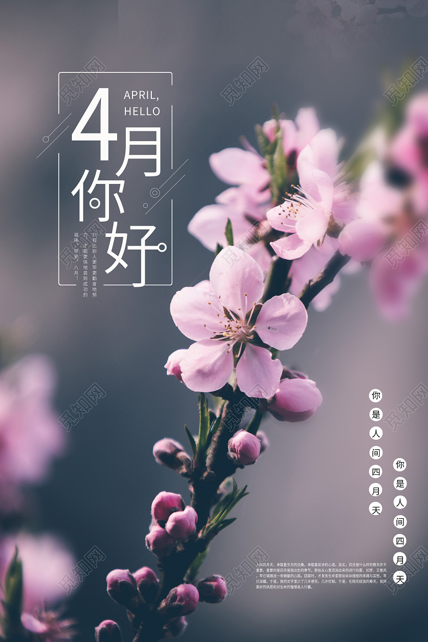 红色简约四月你好海报