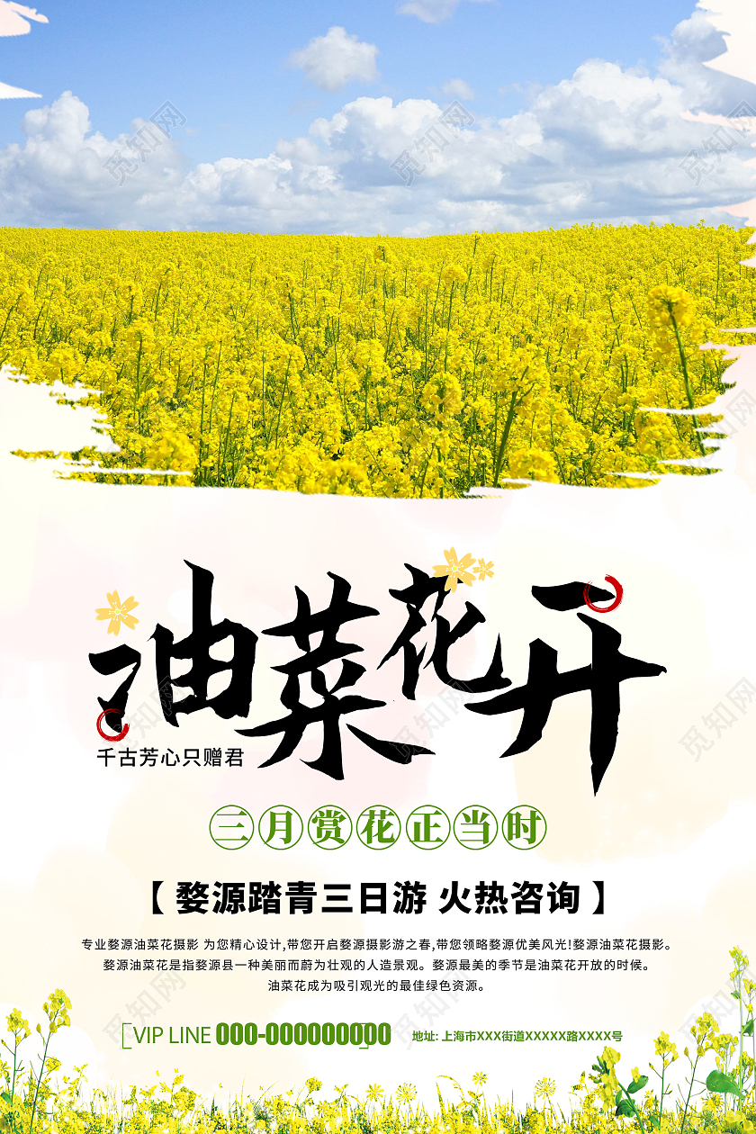 黄色简约油菜花开三月赏花踏青活动海报