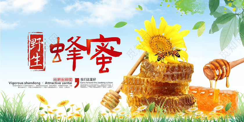 简约野生蜂蜜展板