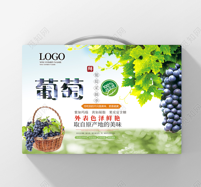 浅紫色简约大气水果葡萄包装盒水果包装