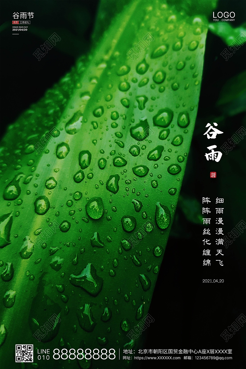 墨绿实拍简洁谷雨二十四节气海报二十四节气24节气谷雨