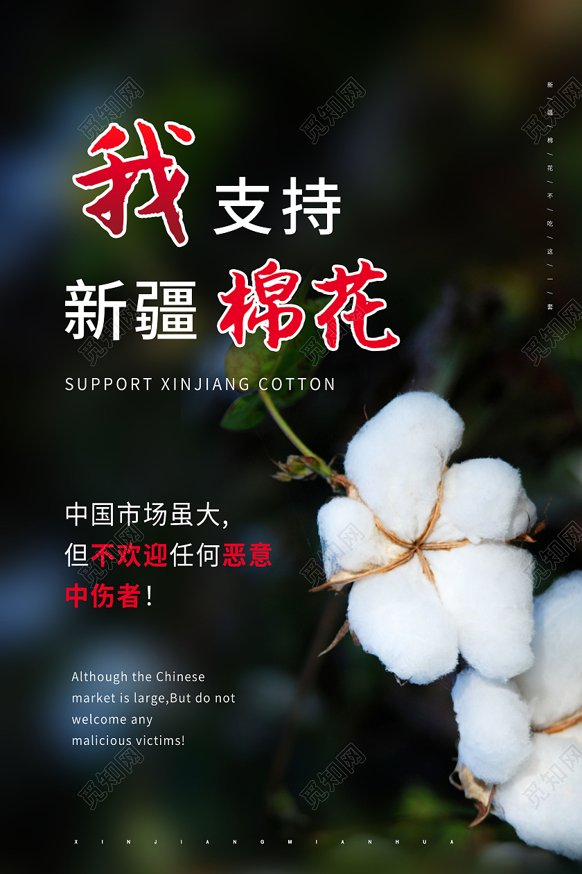我支持新疆棉花为新疆棉花代言海报
