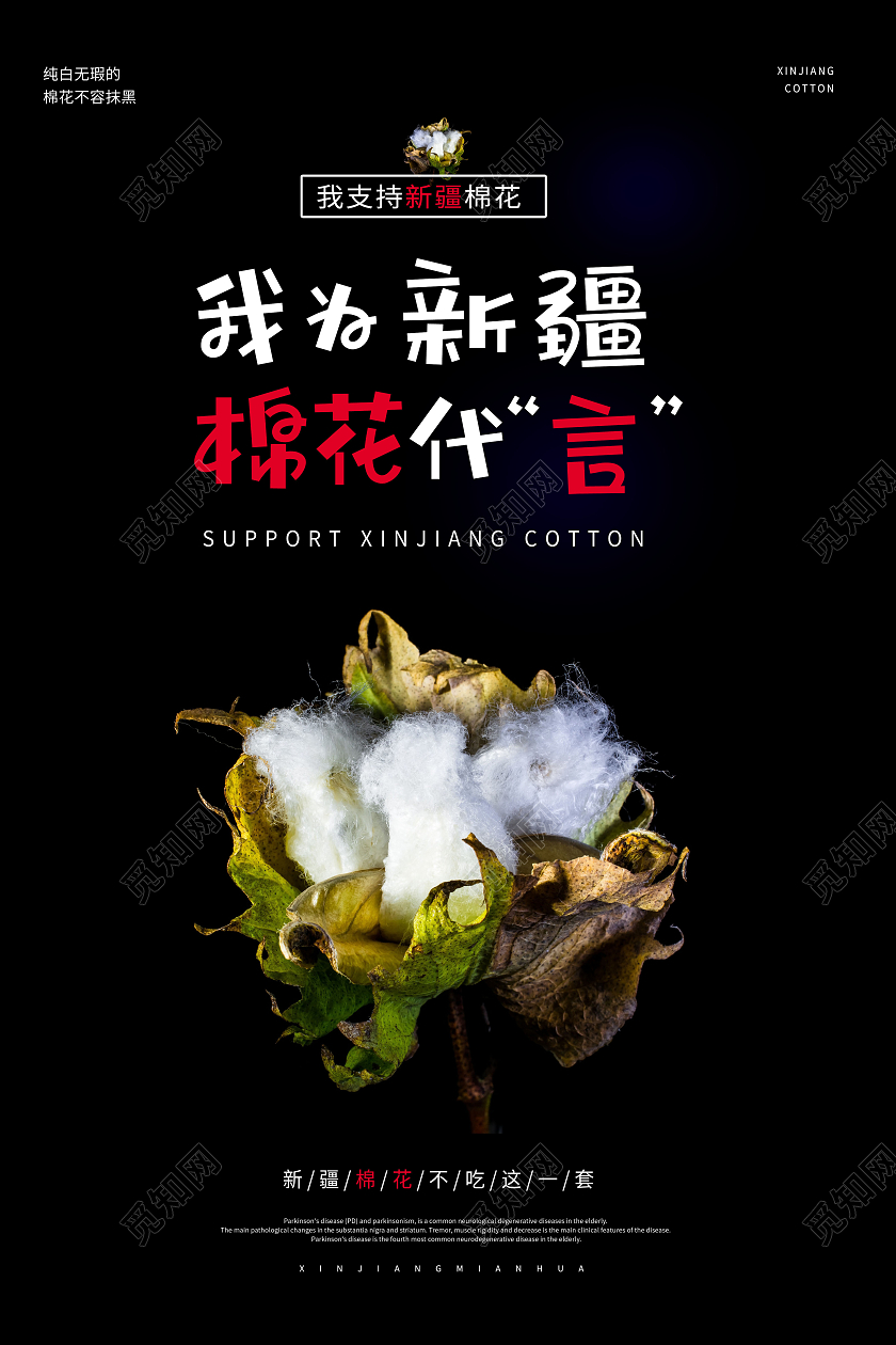 简洁我为新疆棉花代言海报