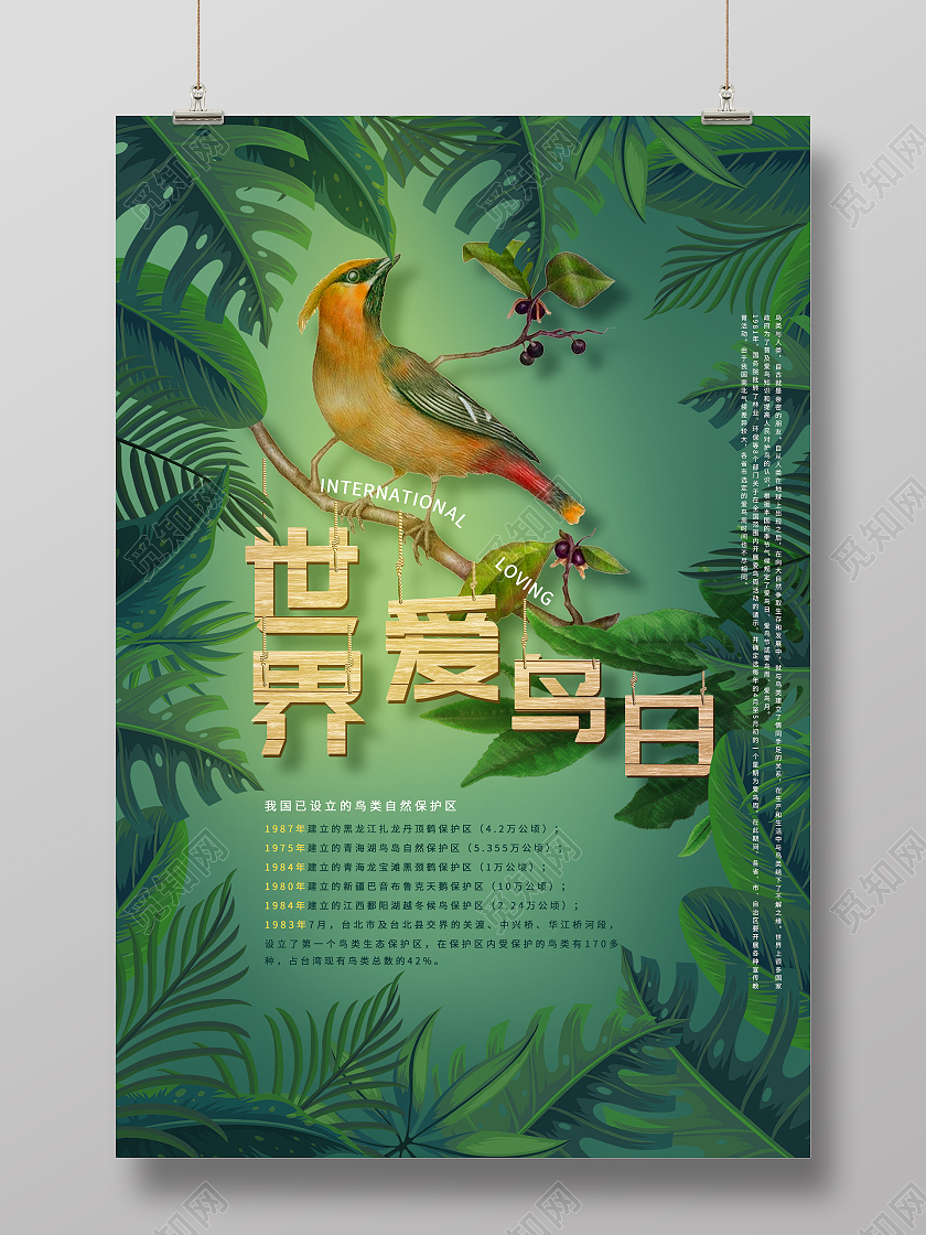 绿色插画世界爱鸟日公益海报国际爱鸟日