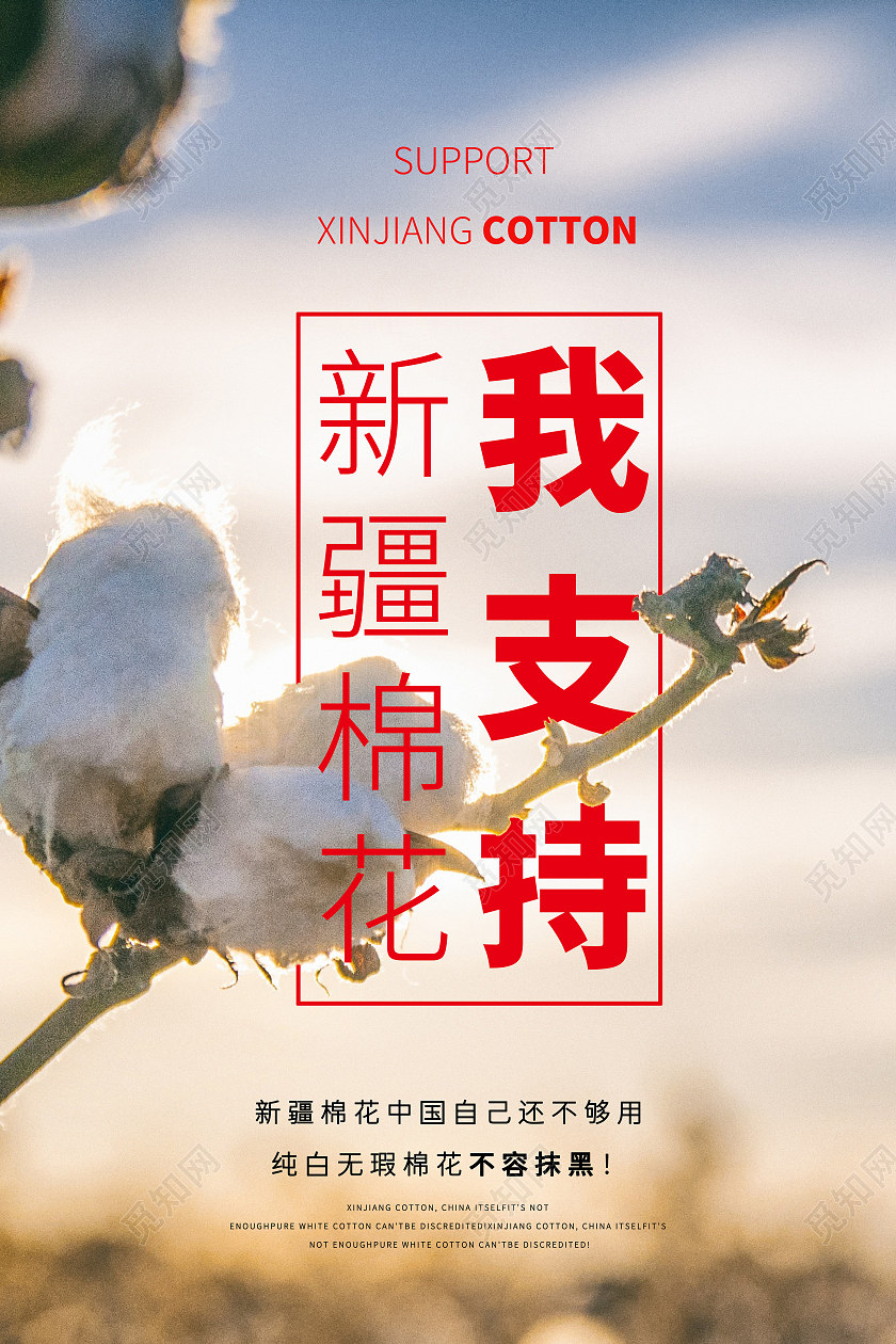 蓝色棉花背景支持新疆棉花白色棉花 宣传海报