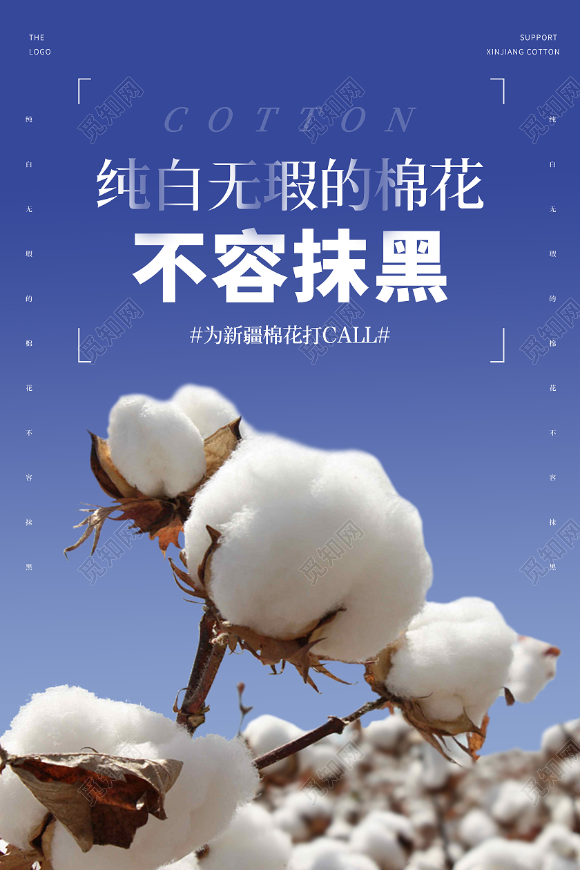 蓝色小清新纯白无瑕棉花不容抹黑宣传海报新疆棉花