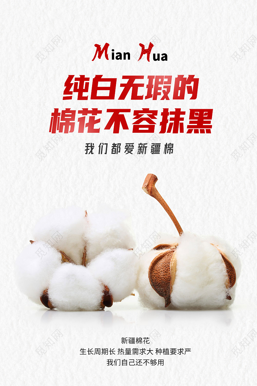 纯白无瑕的棉花不容抹黑支持新疆棉花海报