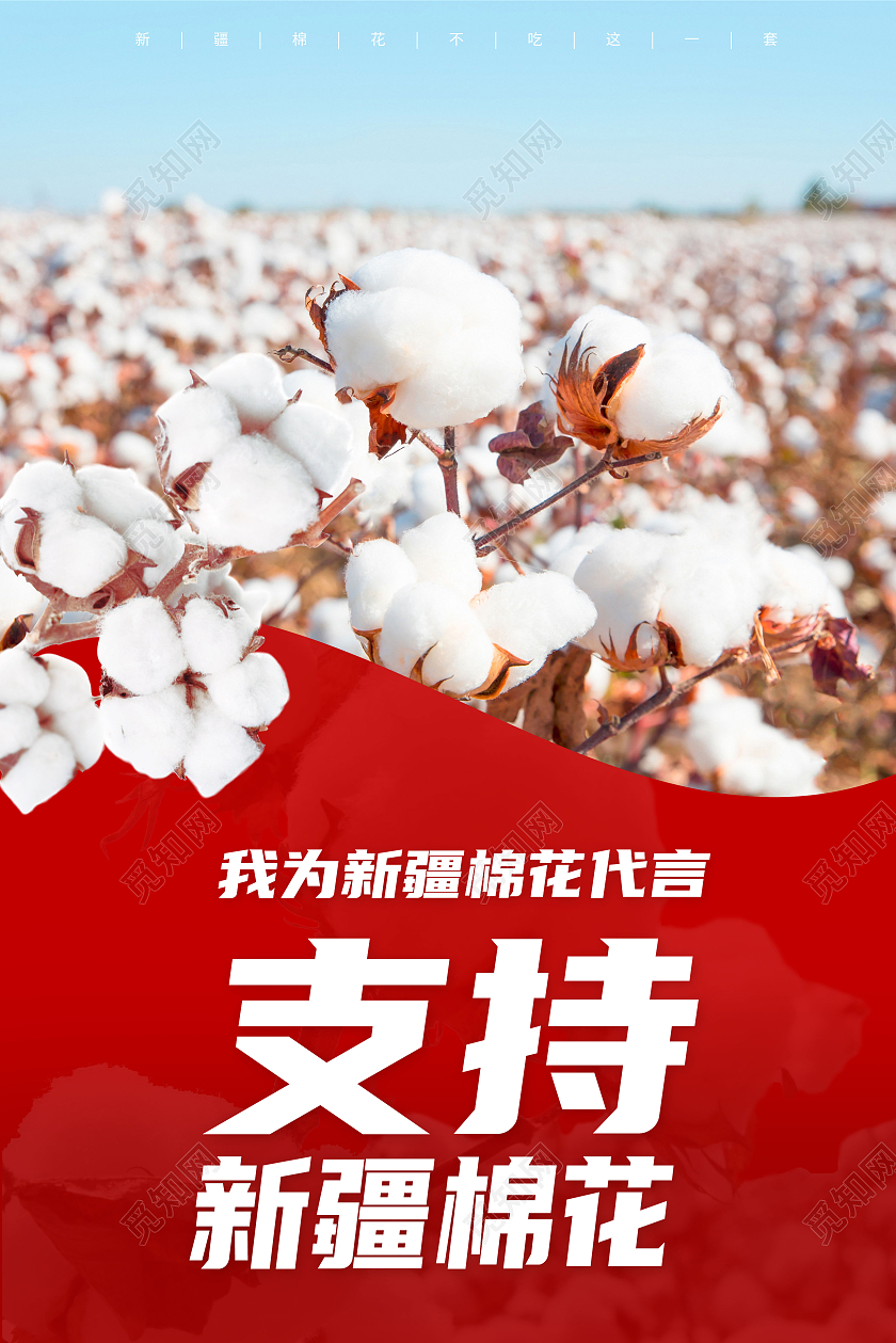 支持新疆棉花我为新疆棉花代言海报